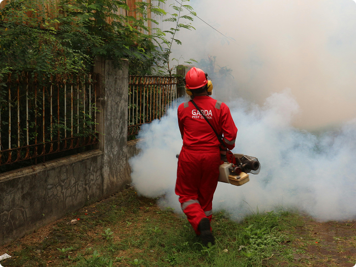 Rodent Control: Tackling Mice Infestations, Rat Removal, and Rodent-Proofing