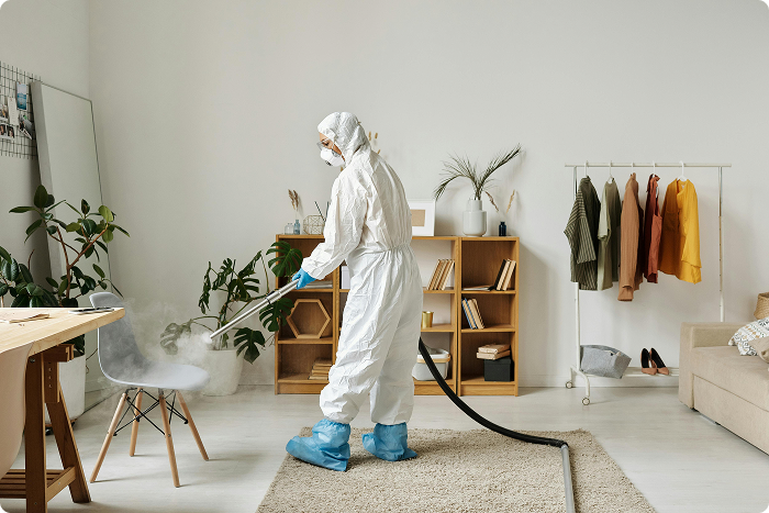 Home Damage & Health Risks: Dealing with Termite Damage, Allergic Reactions, Pests in Walls, and Preventing Pest Diseases